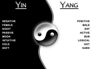 Yin & Yang ~ Shadow & Light