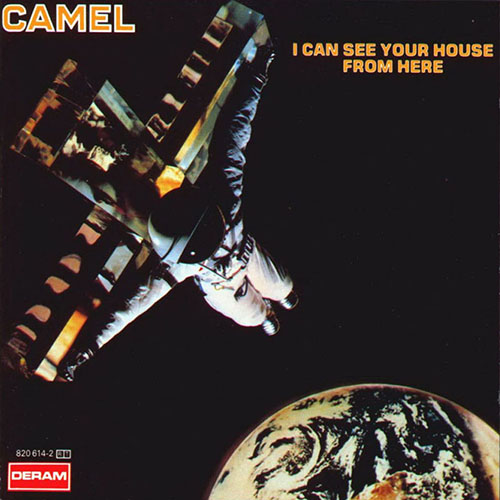 Letting go, moving on, going forward ~ Camel and Ice